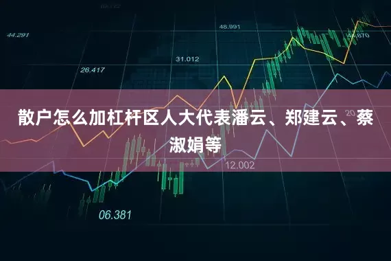 散户怎么加杠杆区人大代表潘云、郑建云、蔡淑娟等