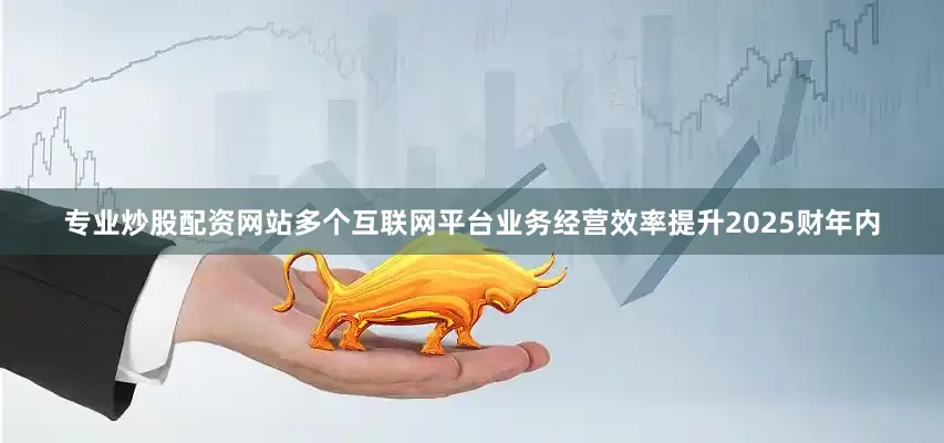专业炒股配资网站多个互联网平台业务经营效率提升2025财年内