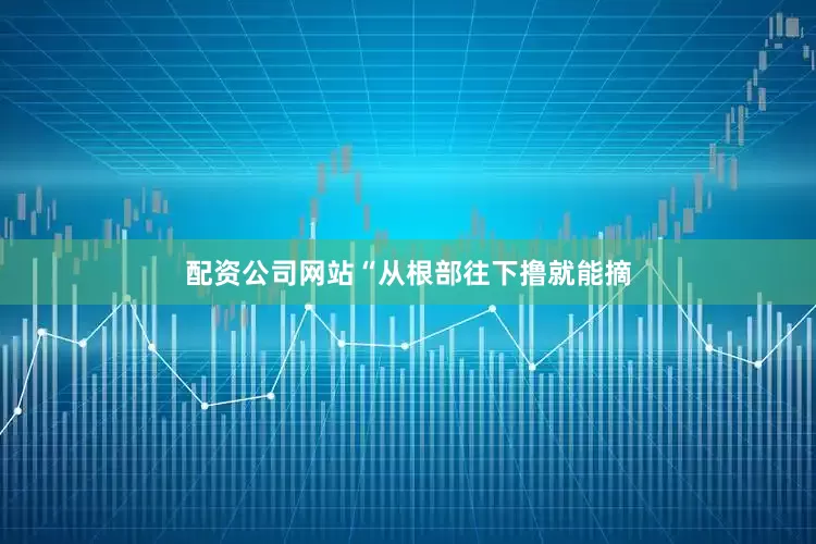 配资公司网站“从根部往下撸就能摘